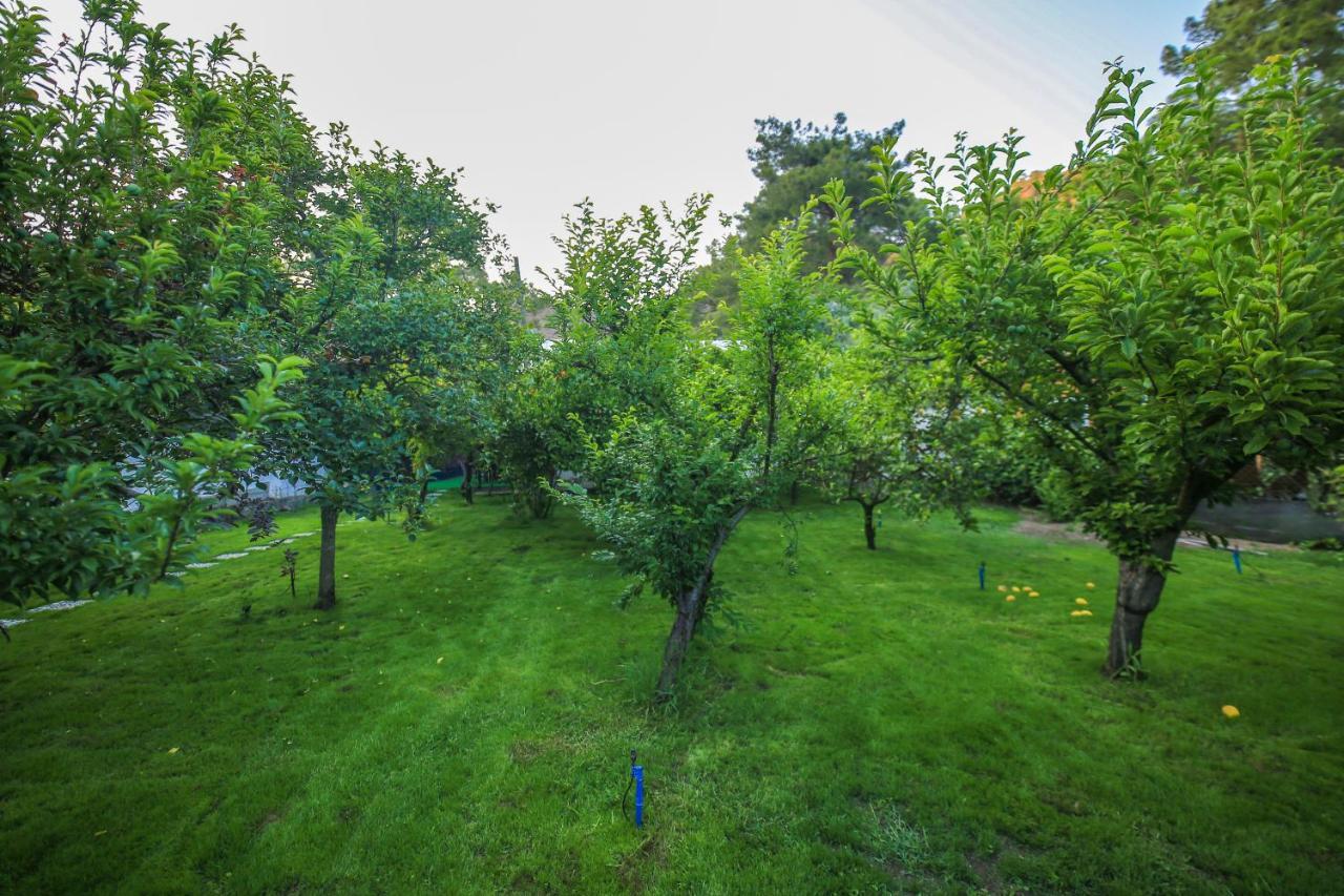 Seker Bungalov Cirali Exterior photo