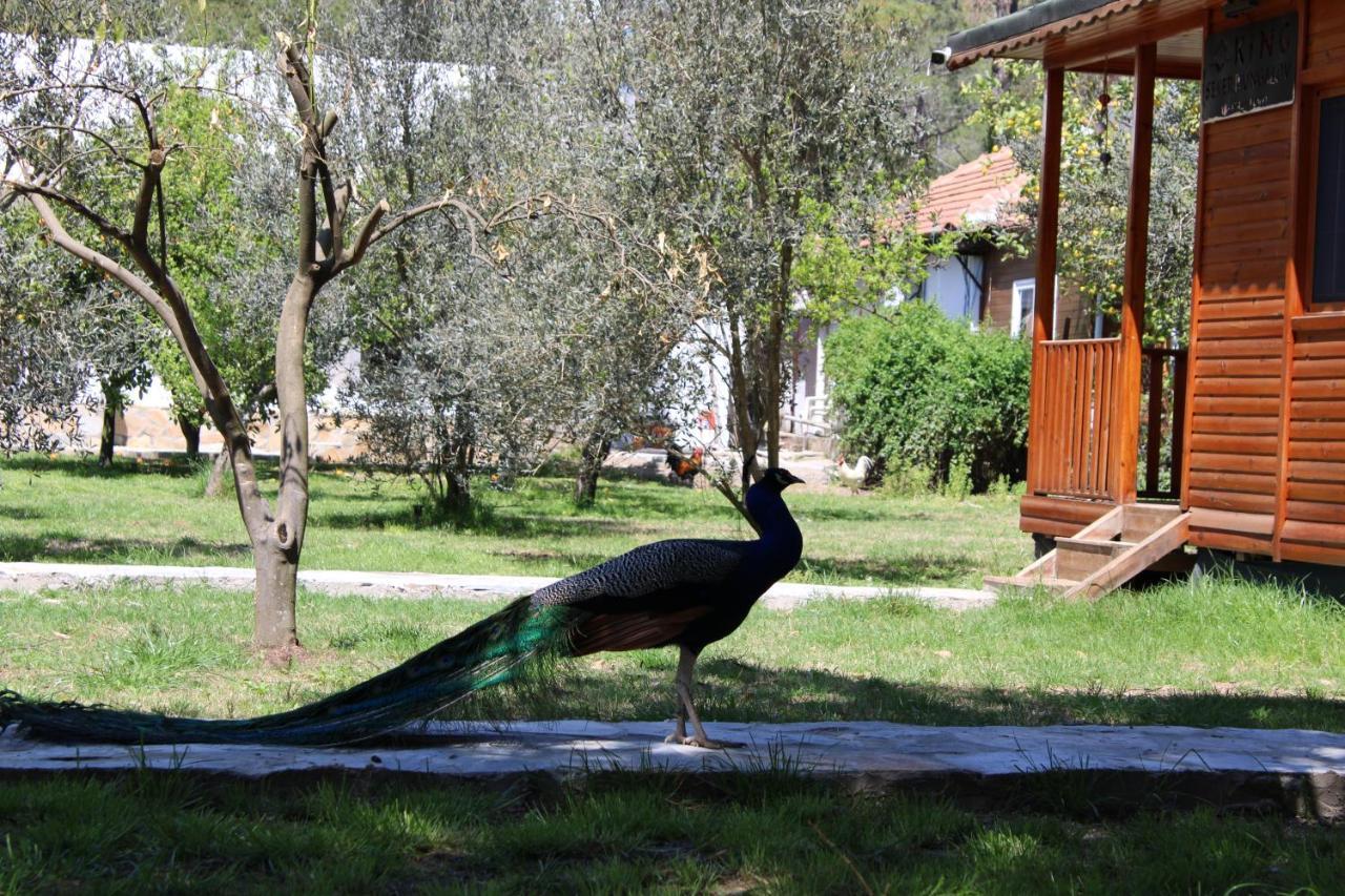 Seker Bungalov Cirali Exterior photo