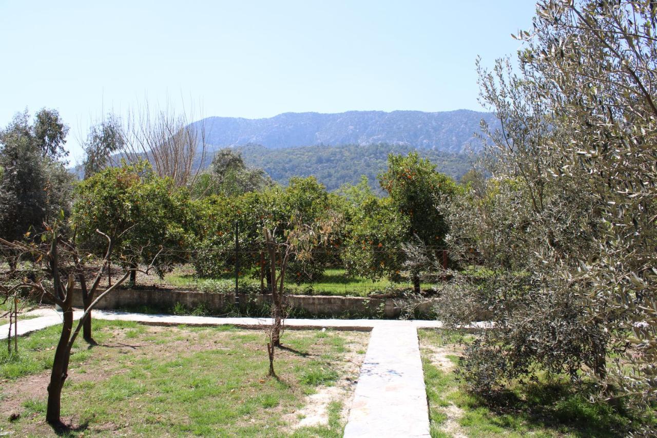 Seker Bungalov Cirali Exterior photo