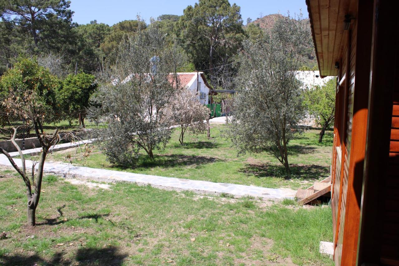Seker Bungalov Cirali Exterior photo