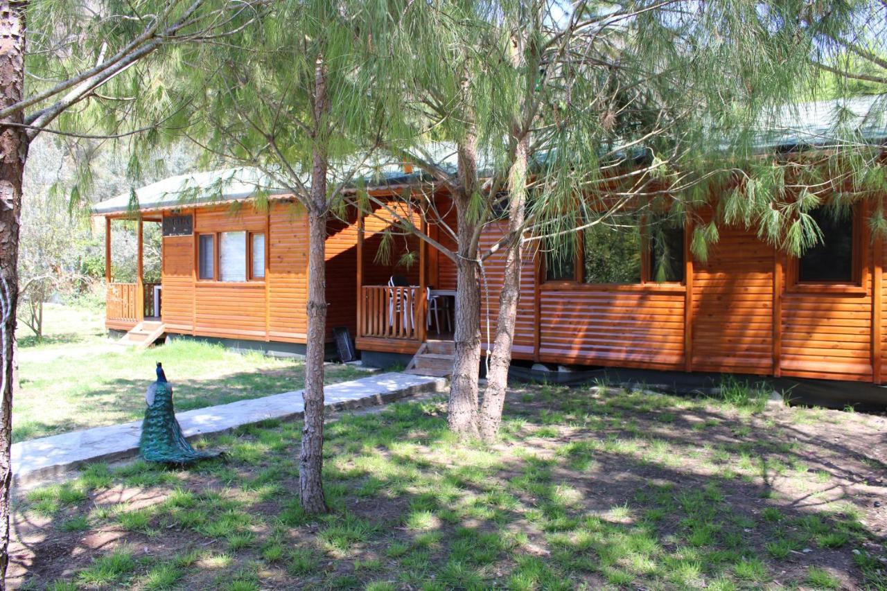 Seker Bungalov Cirali Exterior photo