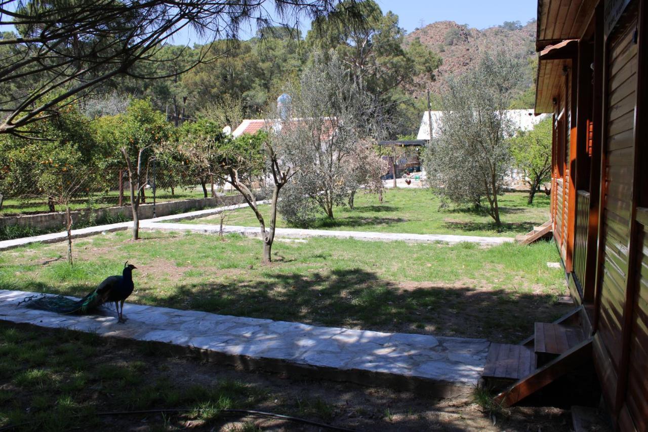Seker Bungalov Cirali Exterior photo
